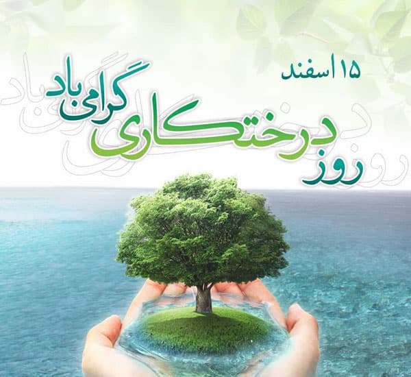کاشت نهال توسط دانش آموز فعال مهراندیش به مناسبت روز درخت کاری