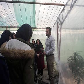 بازدید از گلخانه مدرسه
